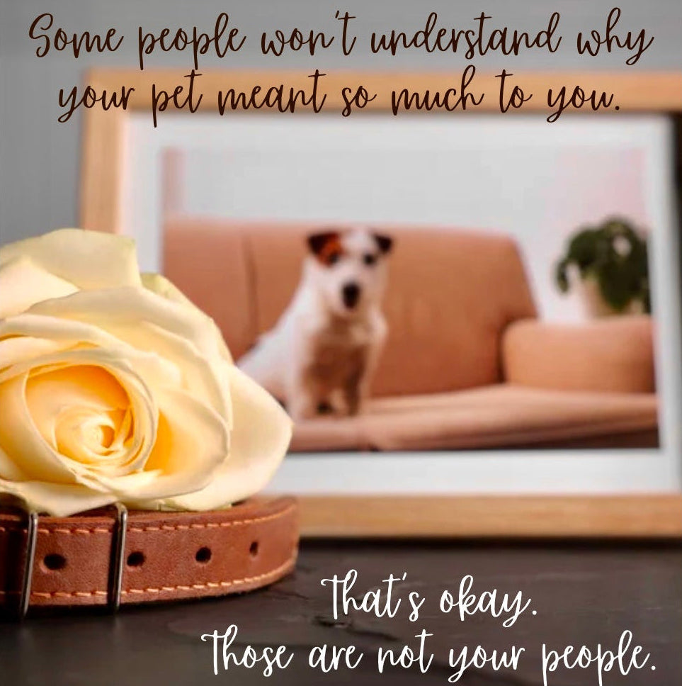Some People Won’t Understand Why… Meant So Much (Rose & Collar)