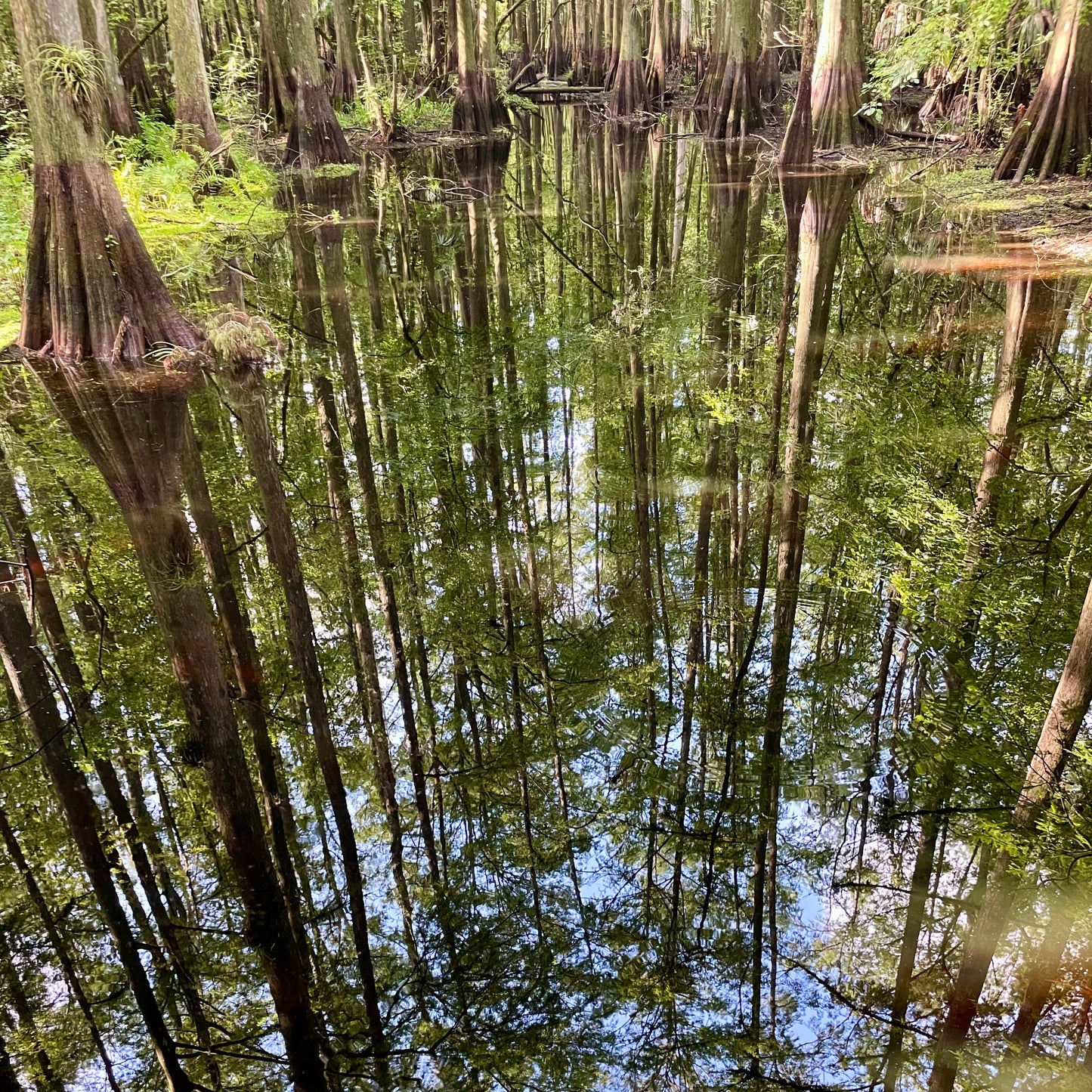 Cyprus reflections