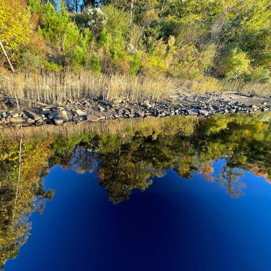 Cape Fear River Reflections