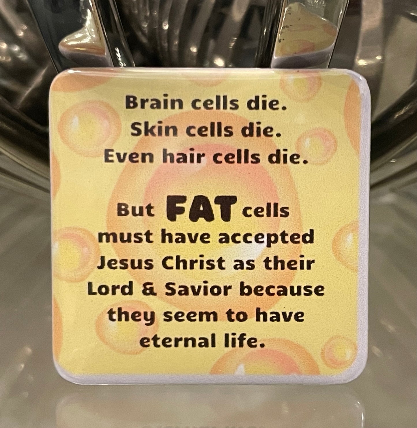 Humor to Brighten Your Day (or Someone Else’s)