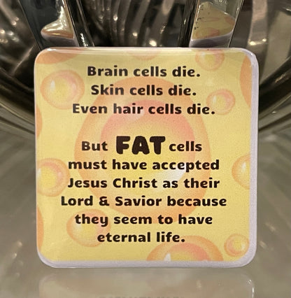 Humor to Brighten Your Day (or Someone Else’s)