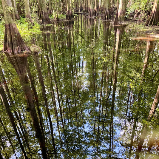 Cyprus reflections